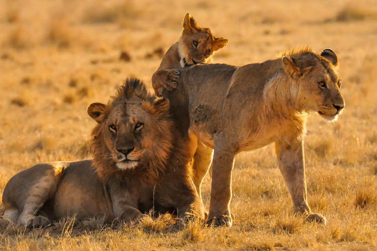 Serengeti National Park