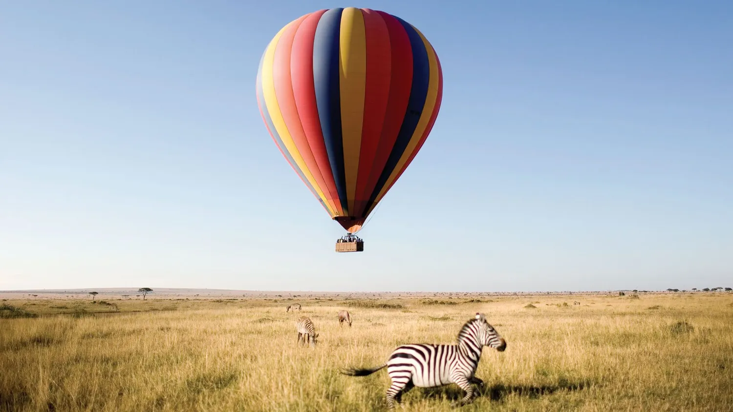 1-tägige Ballonsafari ab Arusha – Luftabenteuer