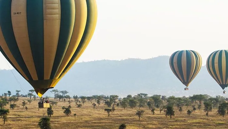 የ1 ሰአት ሴሬንጌቲ ሙቅ አየር ፊኛ ግልቢያ - የአየር ላይ ጀብድ