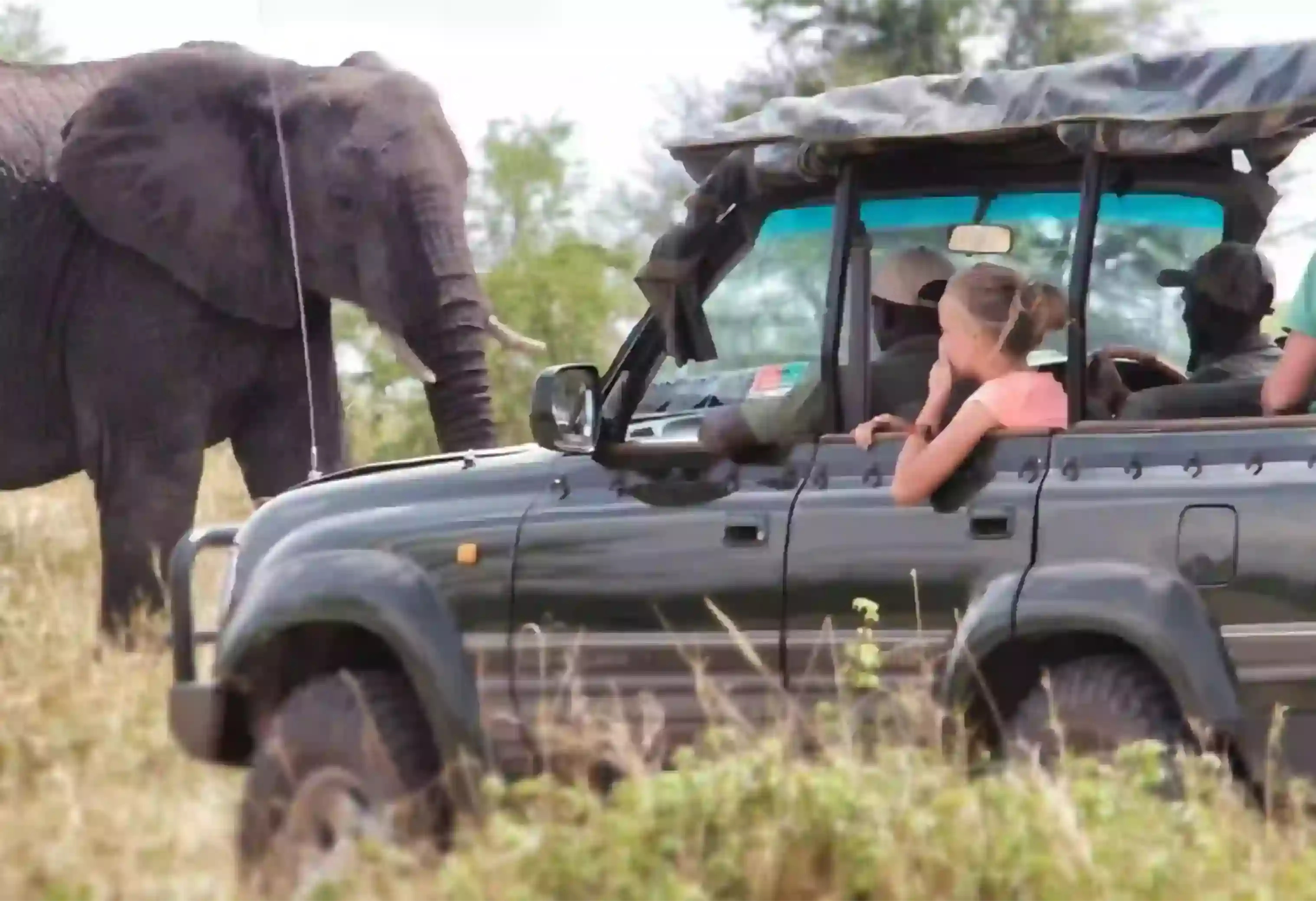 Safari de 10 dies al Serengeti, Tanzània