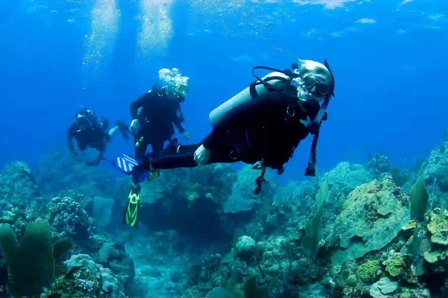 2 Day Mafia Island Dive Weekend - Diving Adventure