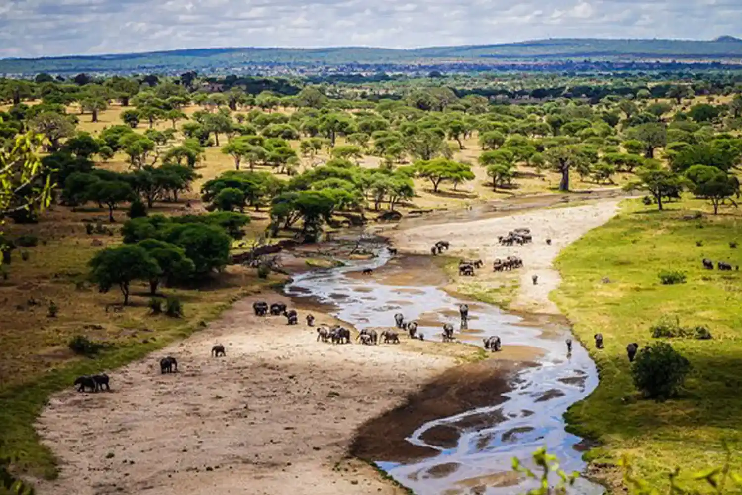 Safari privat de 2 dies a Tarangire i el llac Manyara