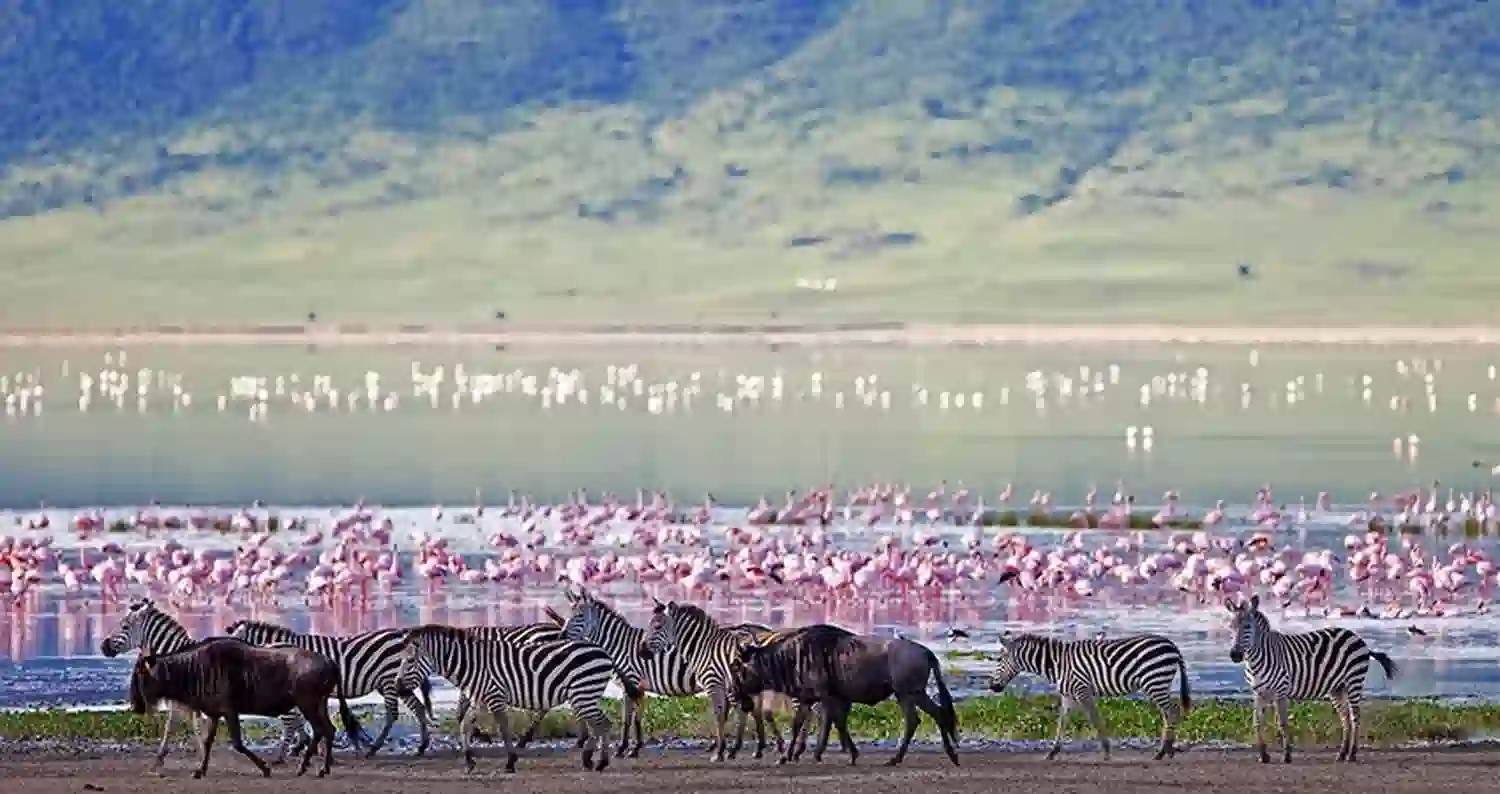 2-Nights Ngorongoro Crater Visit