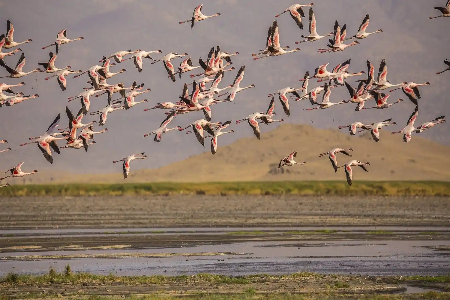 3-Day Arusha Adventure with Canoeing