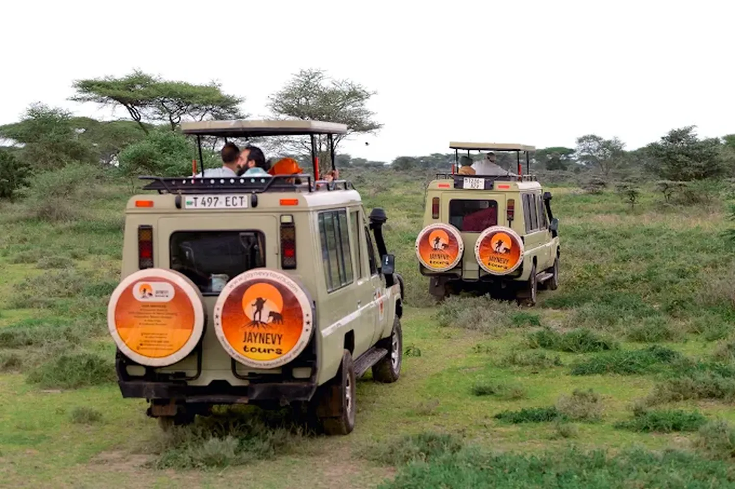 Three-day luxury Ngorongoro safari overlooking the crater