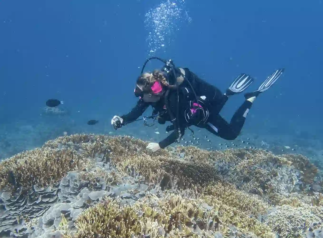 የ3 ቀን የማፊያ ደሴት ዳይቪንግ ጥቅል - የውሃ ውስጥ ጀብዱ