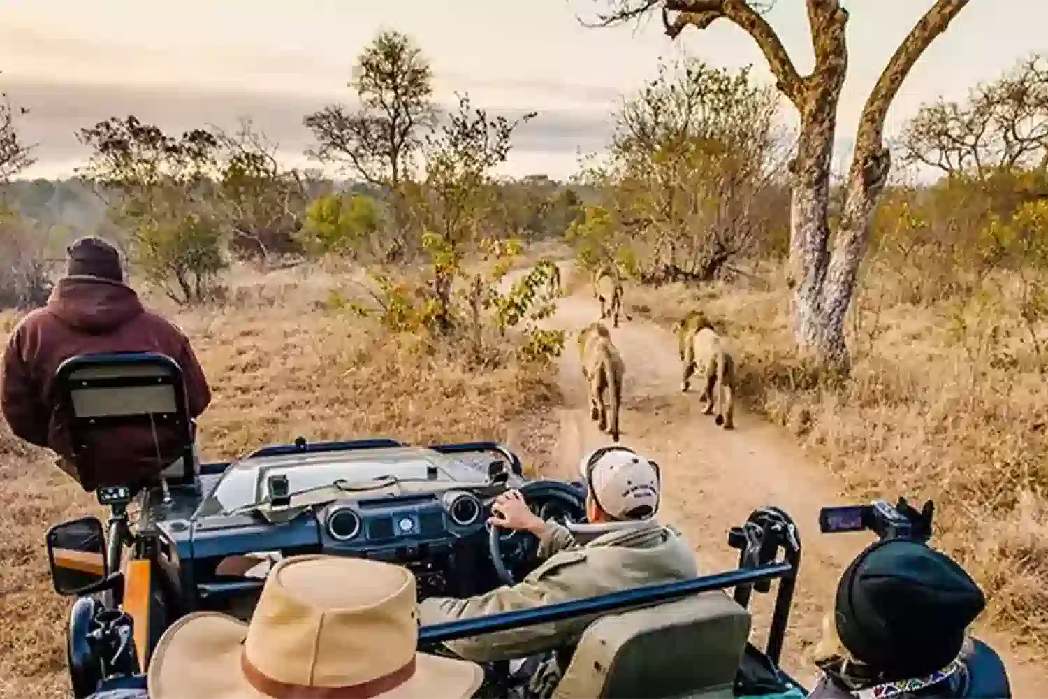 3-tägige private Tansania-Safari