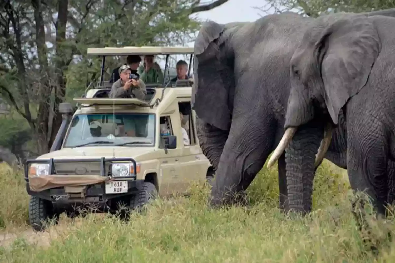 3 days Tanzania Serengeti Safari