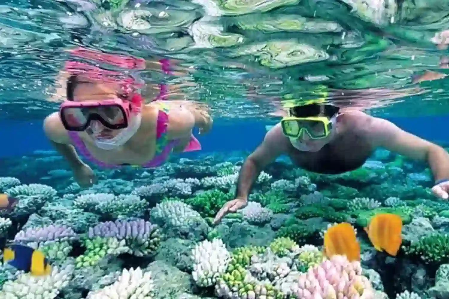 4-tägiges Sansibar-Tauchpaket – Unterwasserabenteuer