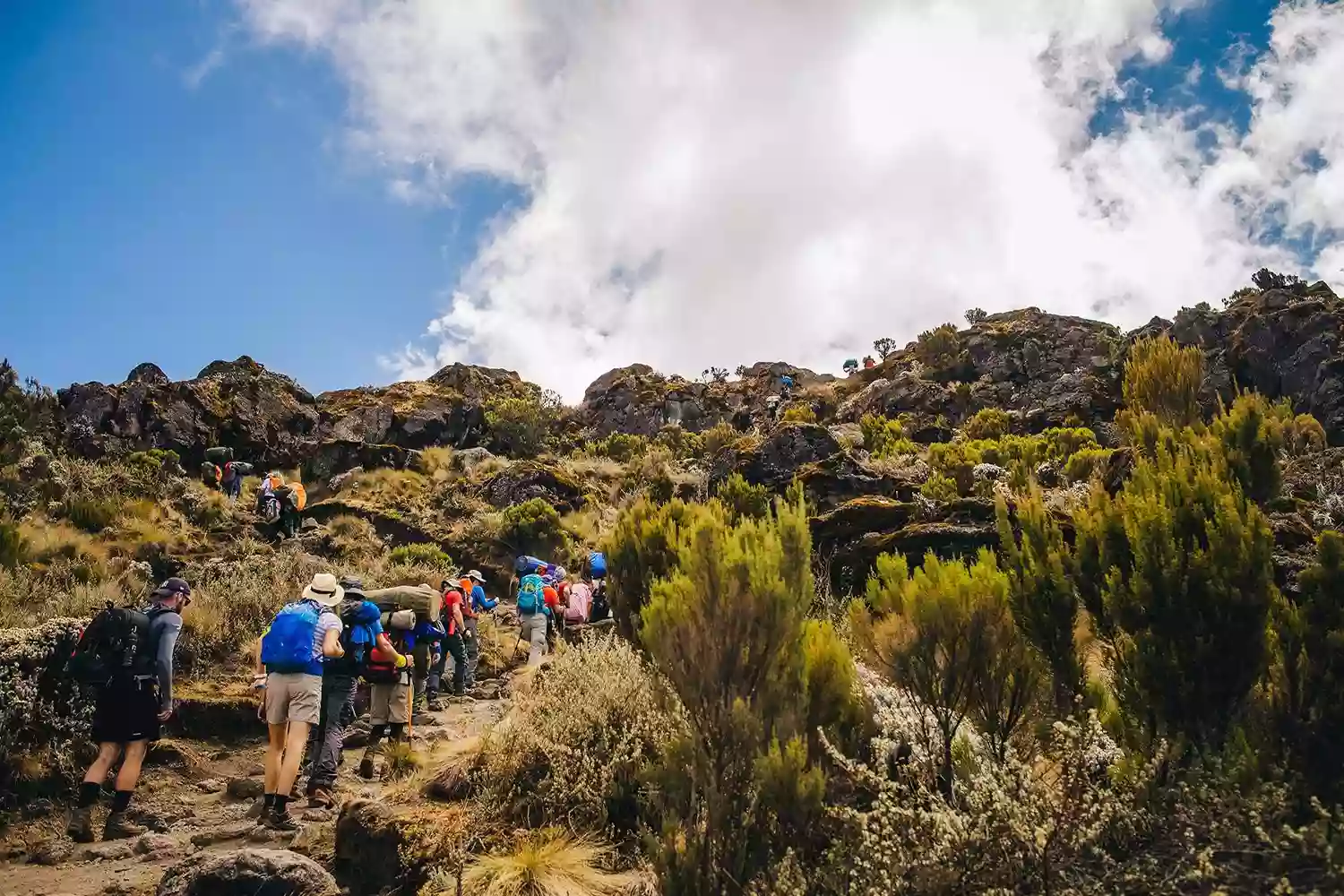 5 dies d'escalada al Kilimanjaro