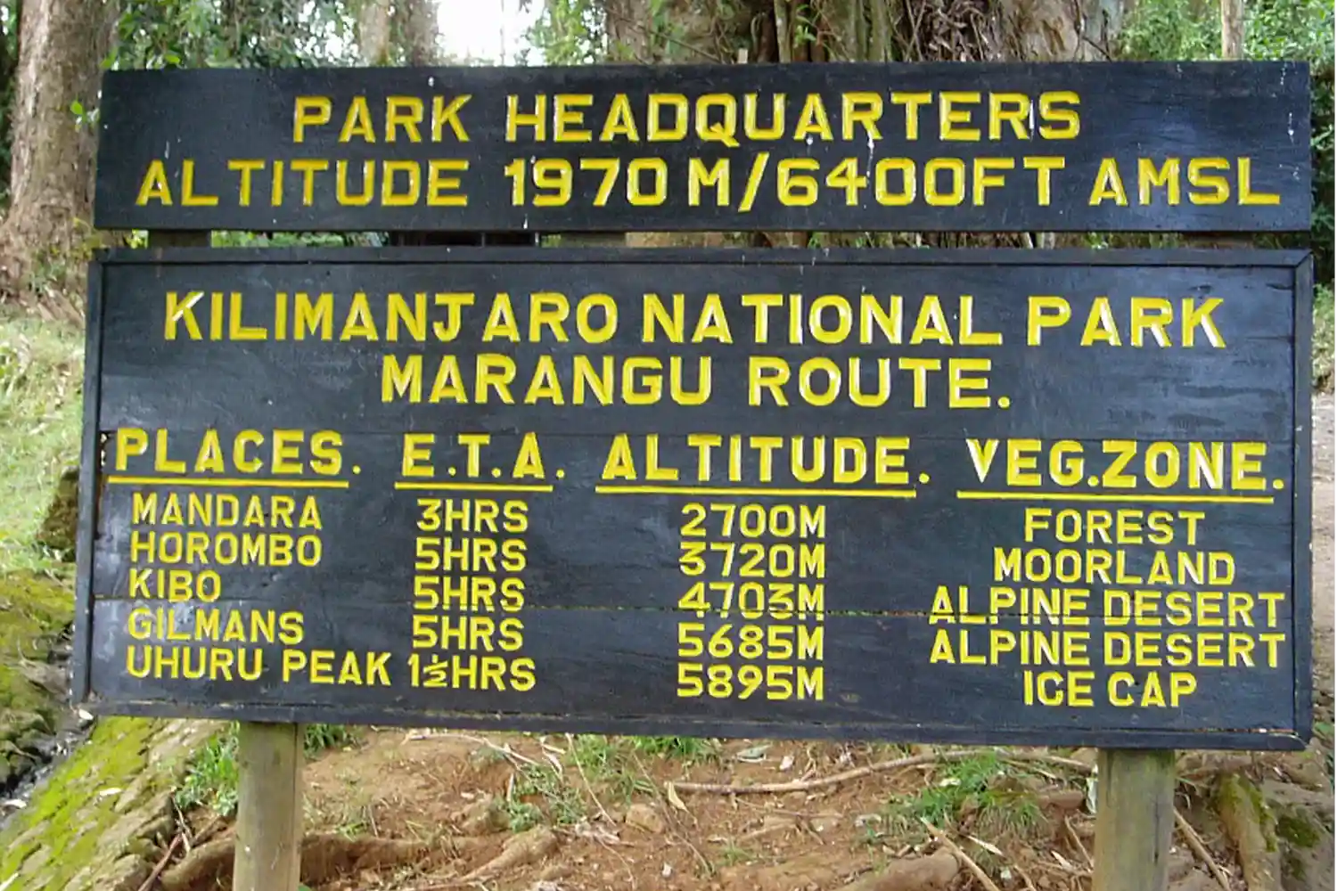 Pujada al Kilimanjaro de pressupost de 5 dies