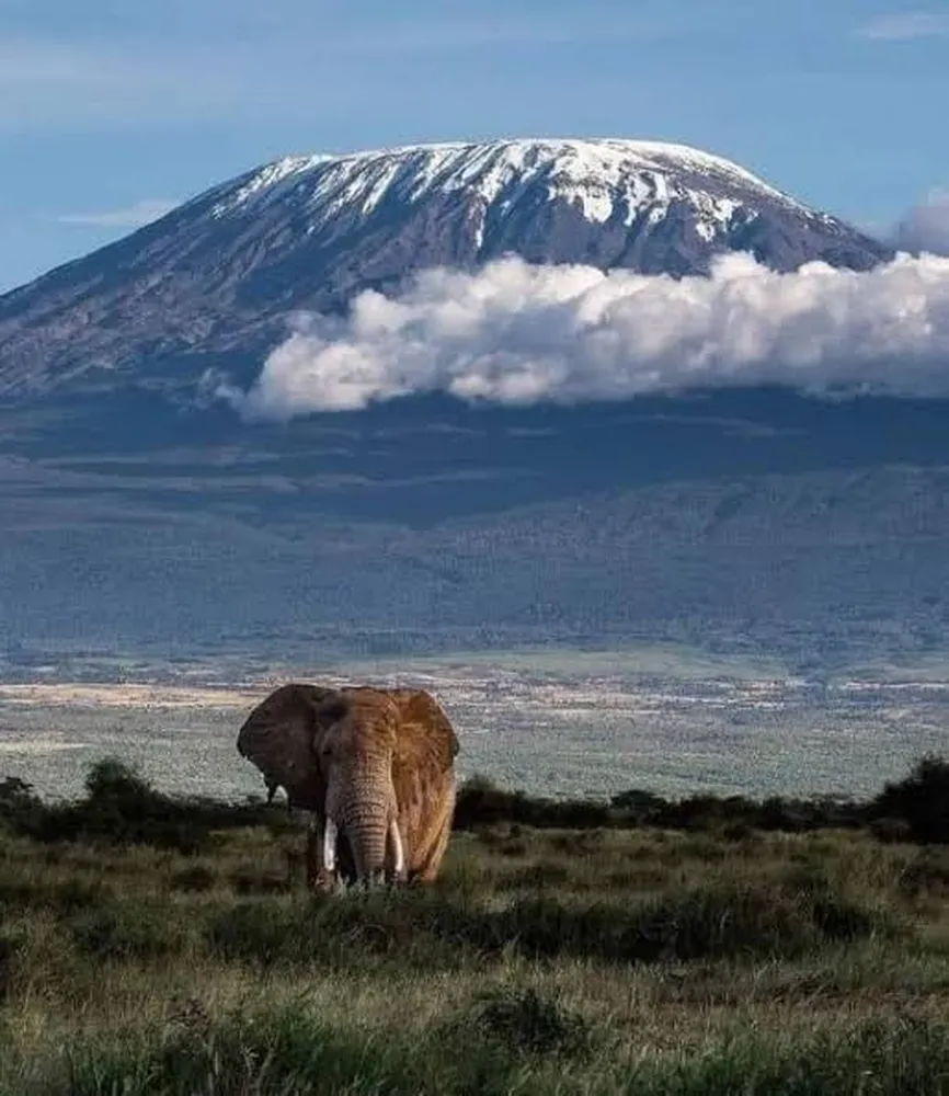 6 day cheap budget safari in Tanzania price - safari Land Cruiser in northern Tanzania