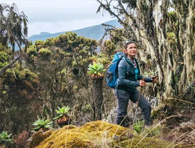 6 days mid-range Kilimanjaro climbing Machame route