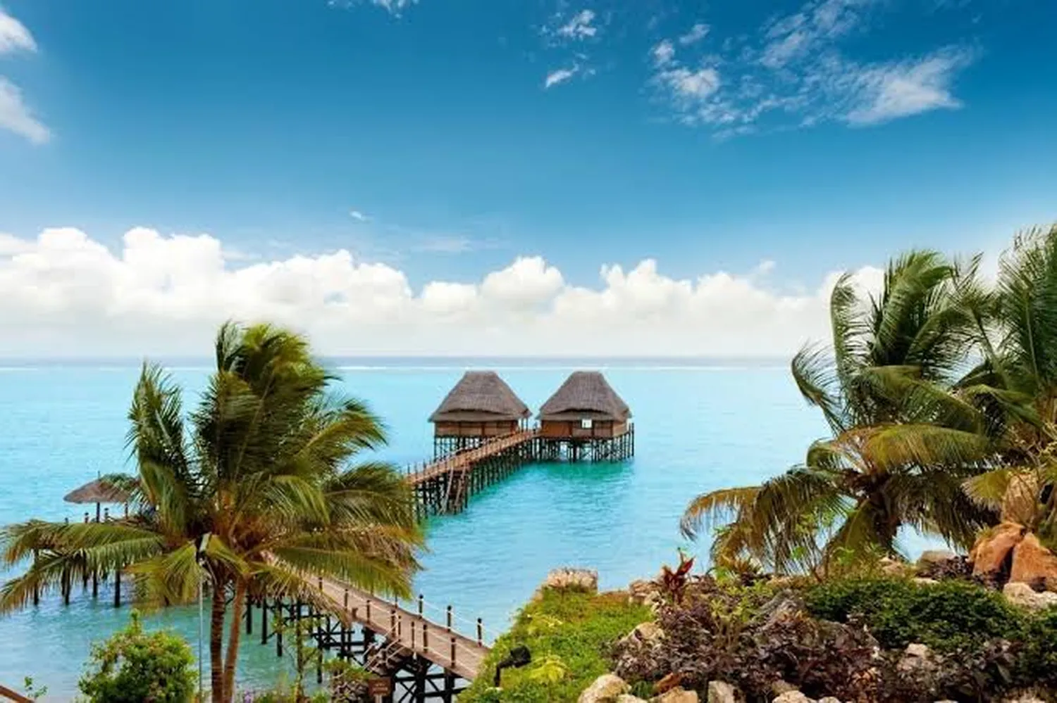 6 day safari Tanzania followed by 4 days Zanzibar