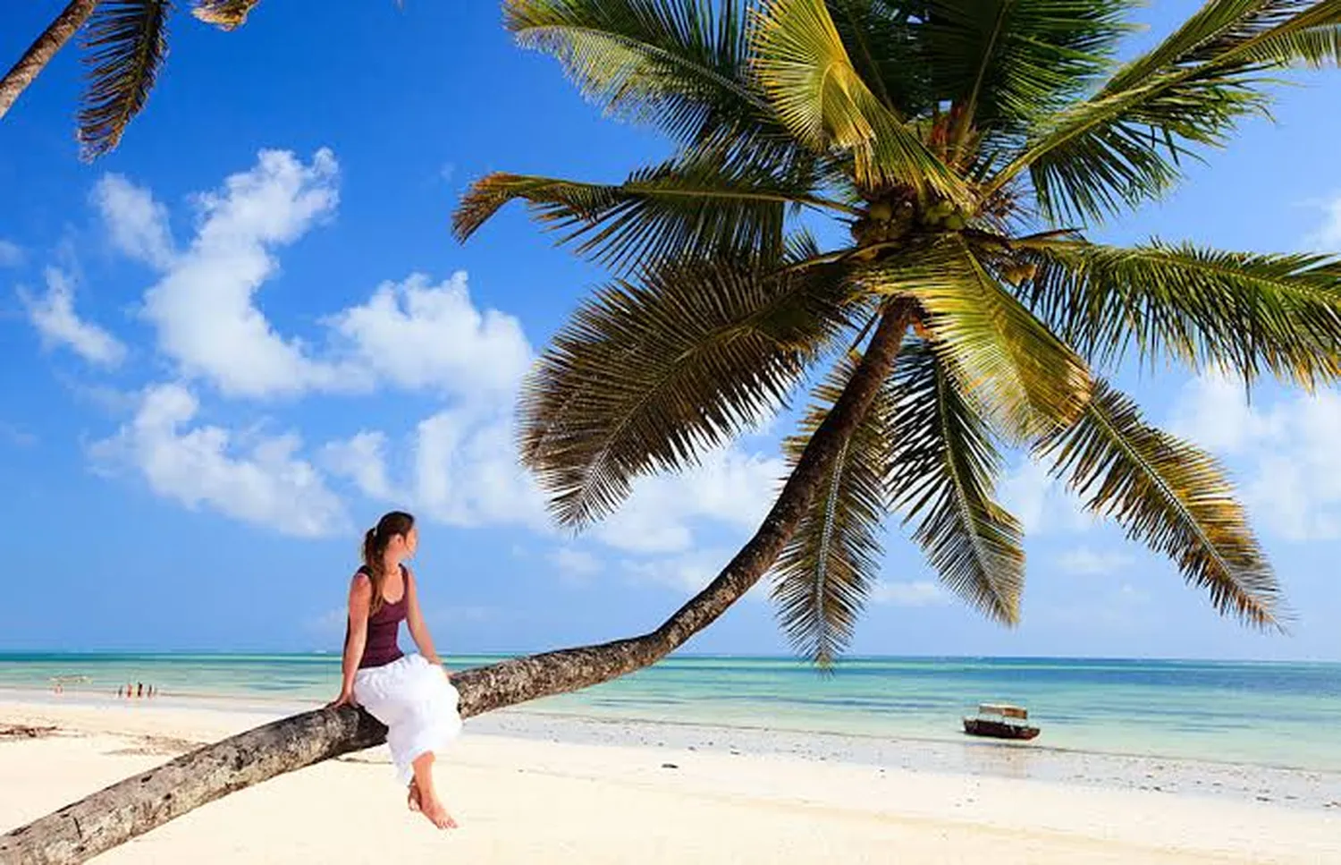 6 day Tanzania safari and Zanzibar beach package