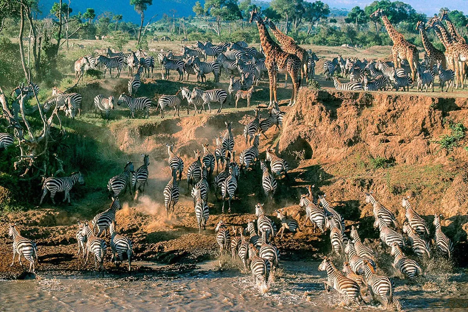6 day Tanzania safari in June and July migration with wildebeest herds in Serengeti