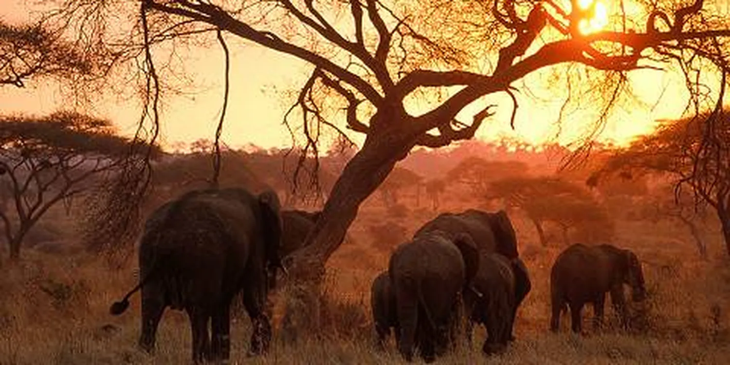 6-day Tanzania safari landscape and nature guide across Tarangire, Lake Manyara, Serengeti and Ngorongoro