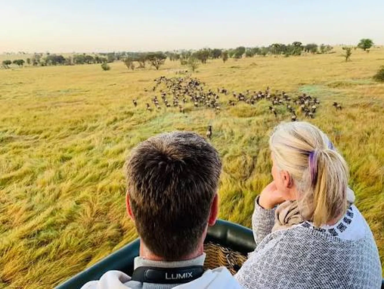 6 day Tanzania safari price comparison budget vs luxury for 2026 and 2027