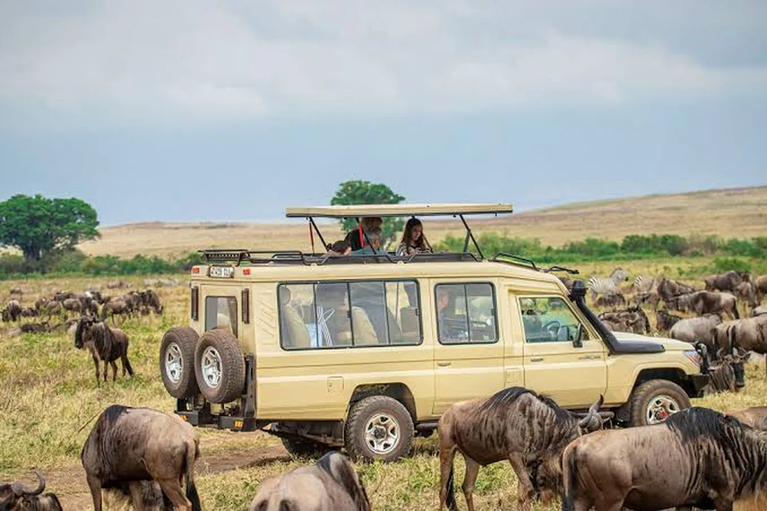 6 day Tanzania safari tips and budget advice for 2026 and 2027