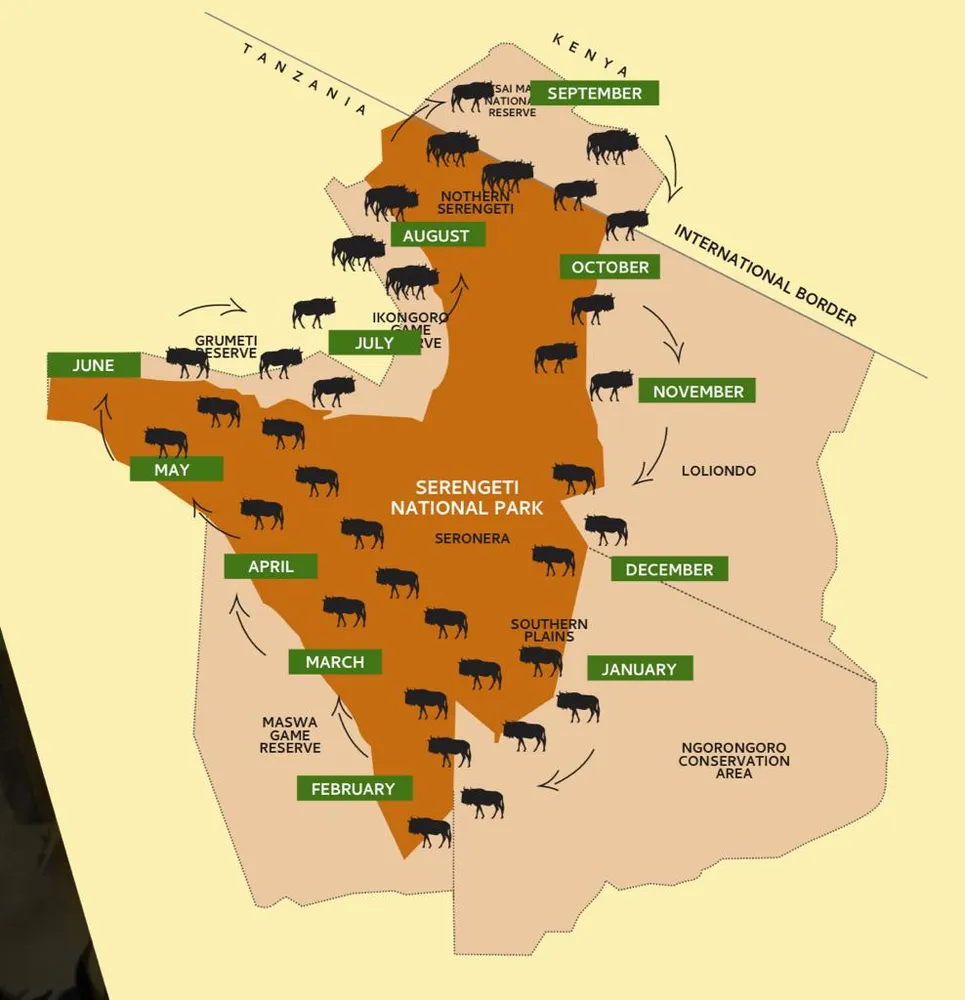 6 day wild wildebeest migration tracking itinerary in Serengeti and Ndutu