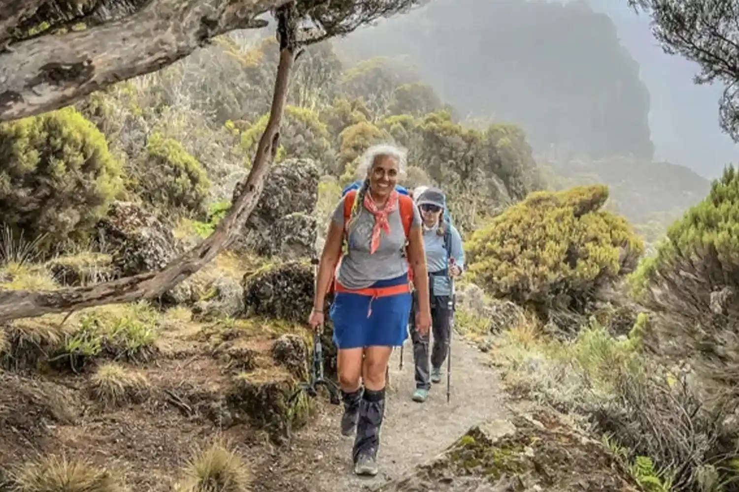 Ruta Marangu pressupost d'escalada al Kilimanjaro de 6 dies