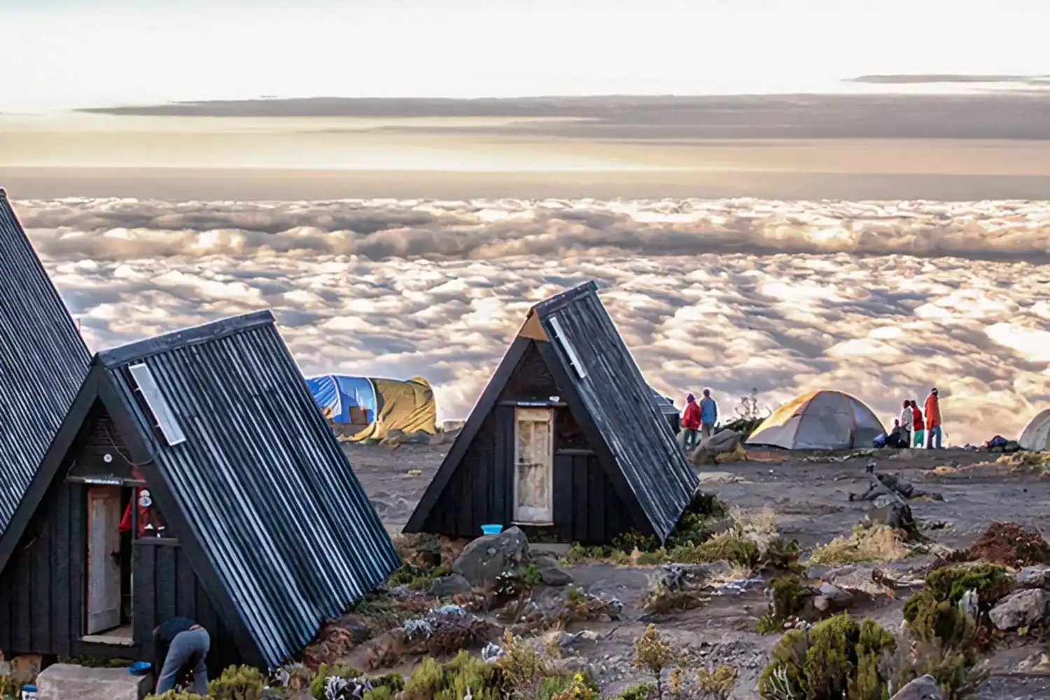 6 dies Kilimanjaro escalada ruta Marangu