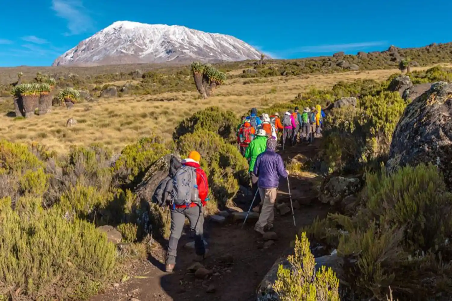 6-Day Machame Route, Kilimanjaro climb