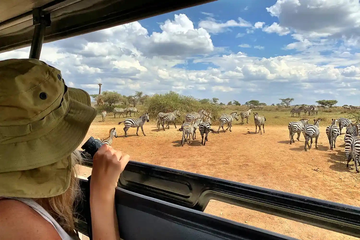 Safari privat de 6 dies a Tanzània