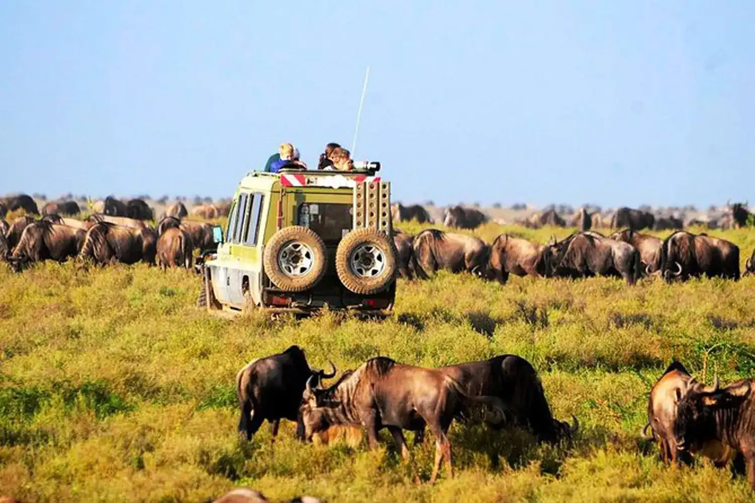 Serengeti NP Accommodation