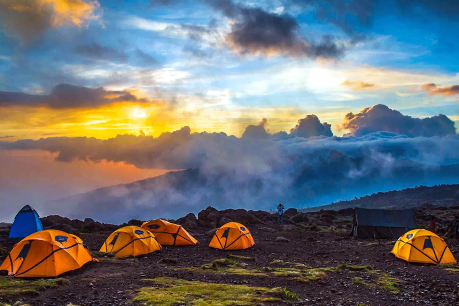 7 dies Mont Kilimanjaro escalant la ruta Machame