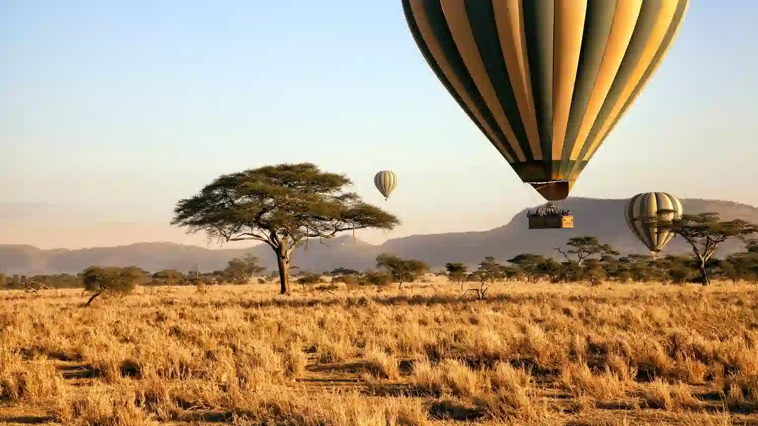 7 Day Balloon Safari Plus Serengeti - Wildlife Adventure