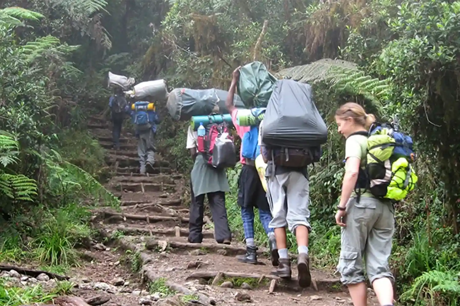 Ruta Lemosho de pressupost d'escalada al Kilimanjaro de 7 dies