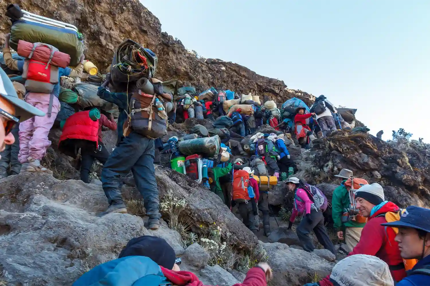 Ruta de Lemosho d'ascens al Kilimanjaro de luxe de 7 dies