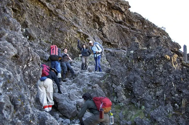 7 dies Grup del Mont Kilimanjaro unint-se a la ruta Machame