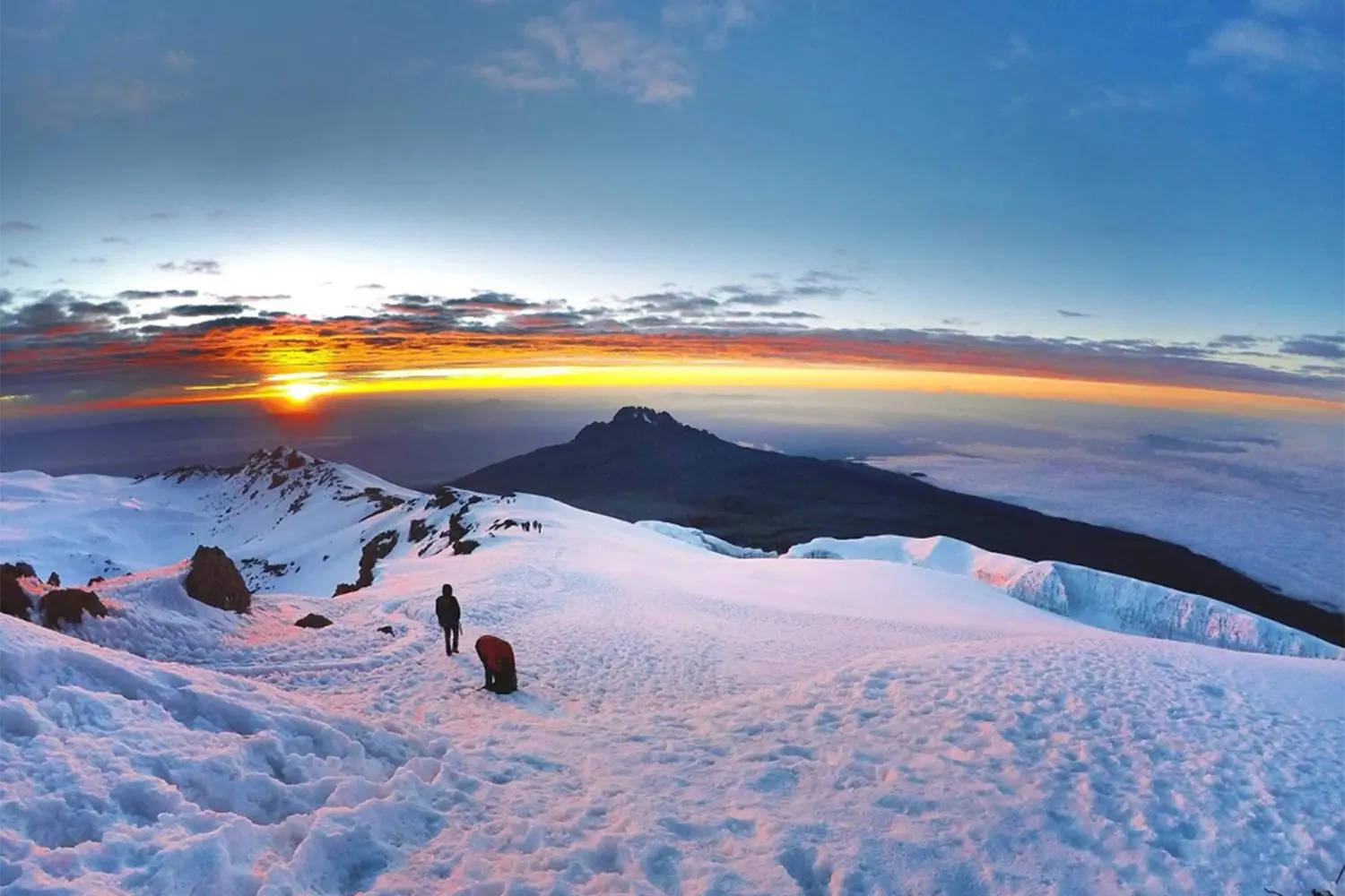 Ruta de 7 dies Lemosho escalada al Kilimanjaro de gamma mitjana