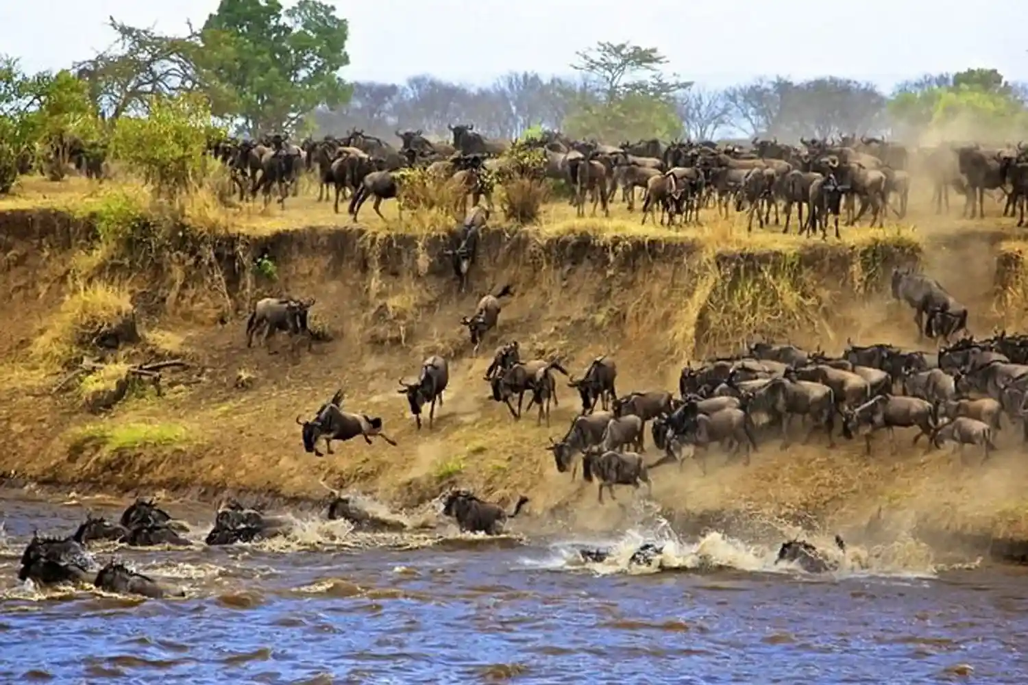 El millor safari al Serengeti de 7 dies