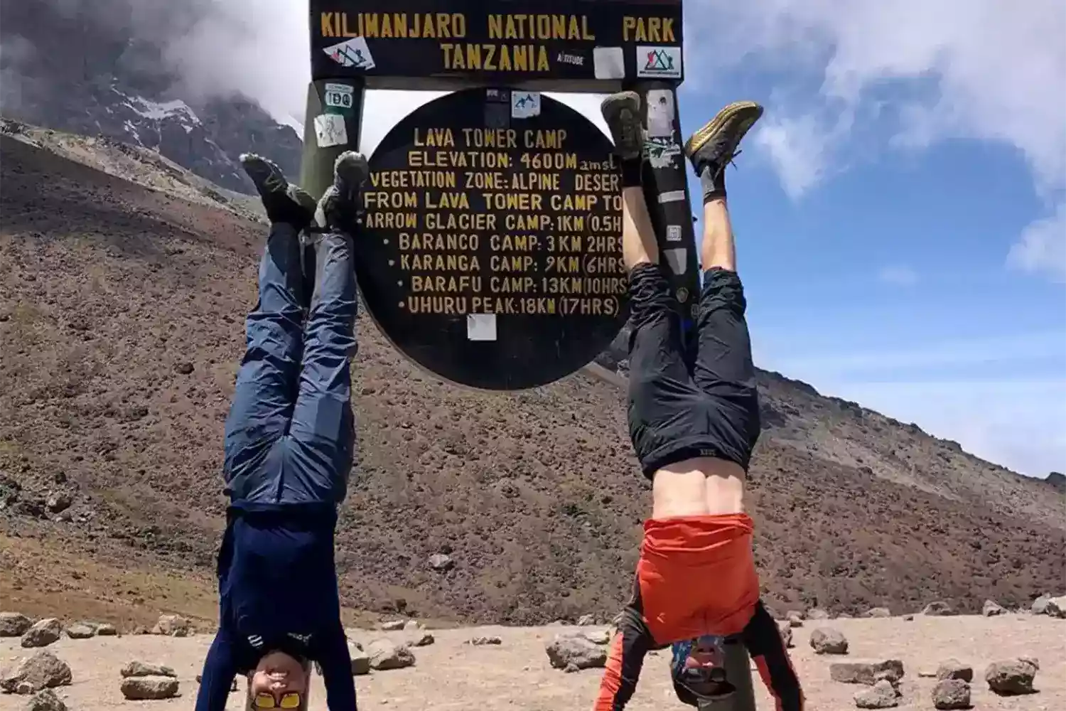 Pressupost de 8 dies Lemosho Kilimanjaro