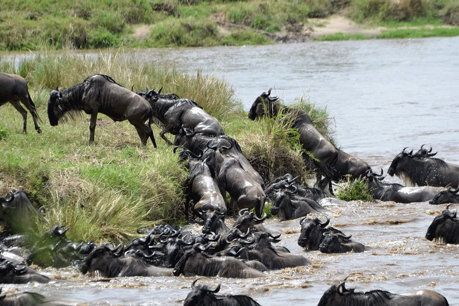 Eight-day Tanzania wildlife safari across the northern circuit