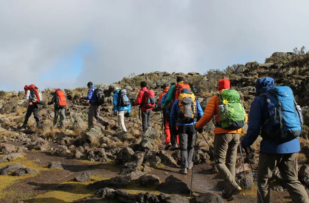 8 dies Grup del Mont Kilimanjaro unint-se a la ruta de Lemosho