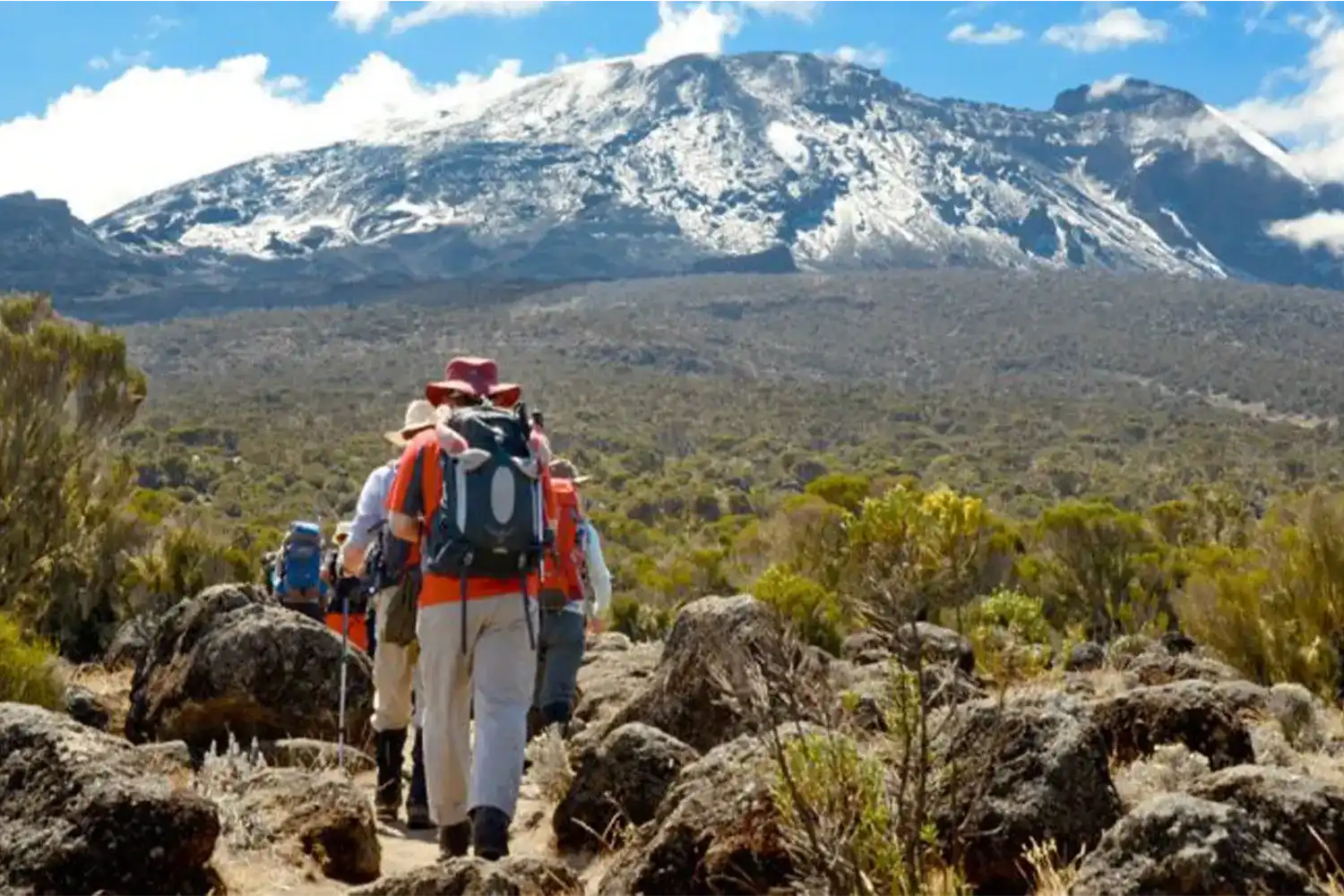 8 dies pressupost Kilimanjaro escalada via Lemosho