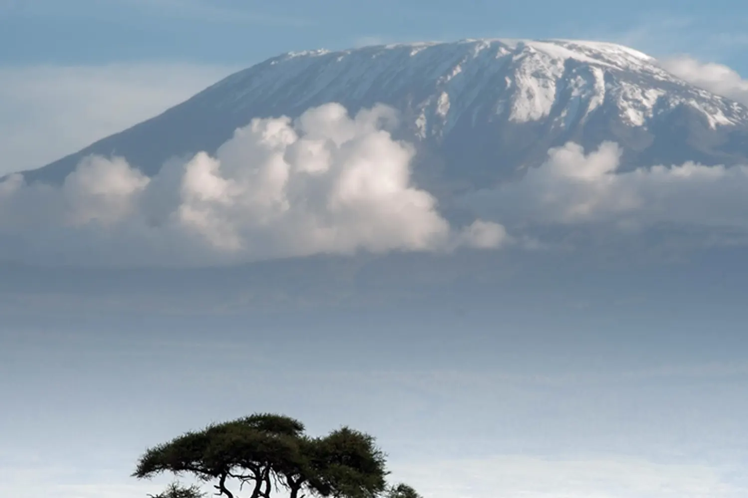Senderisme a la ruta Kilimanjaro Lemosho al desembre
