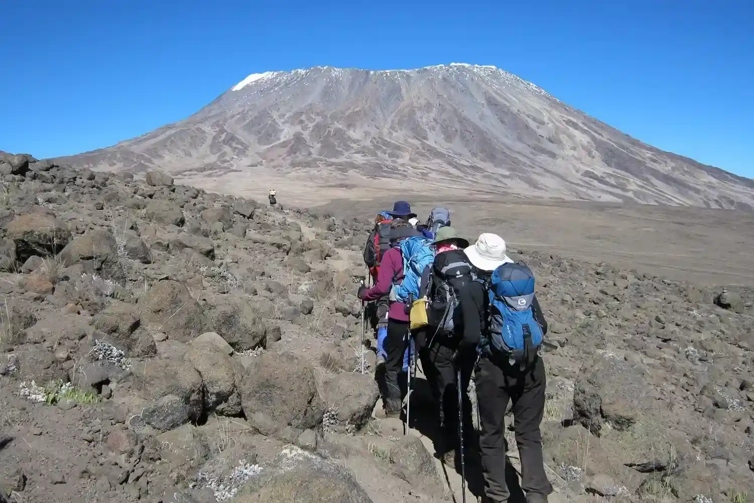 Kilimanjaro de 8 dies unint-se al grup via Lemosho Route
