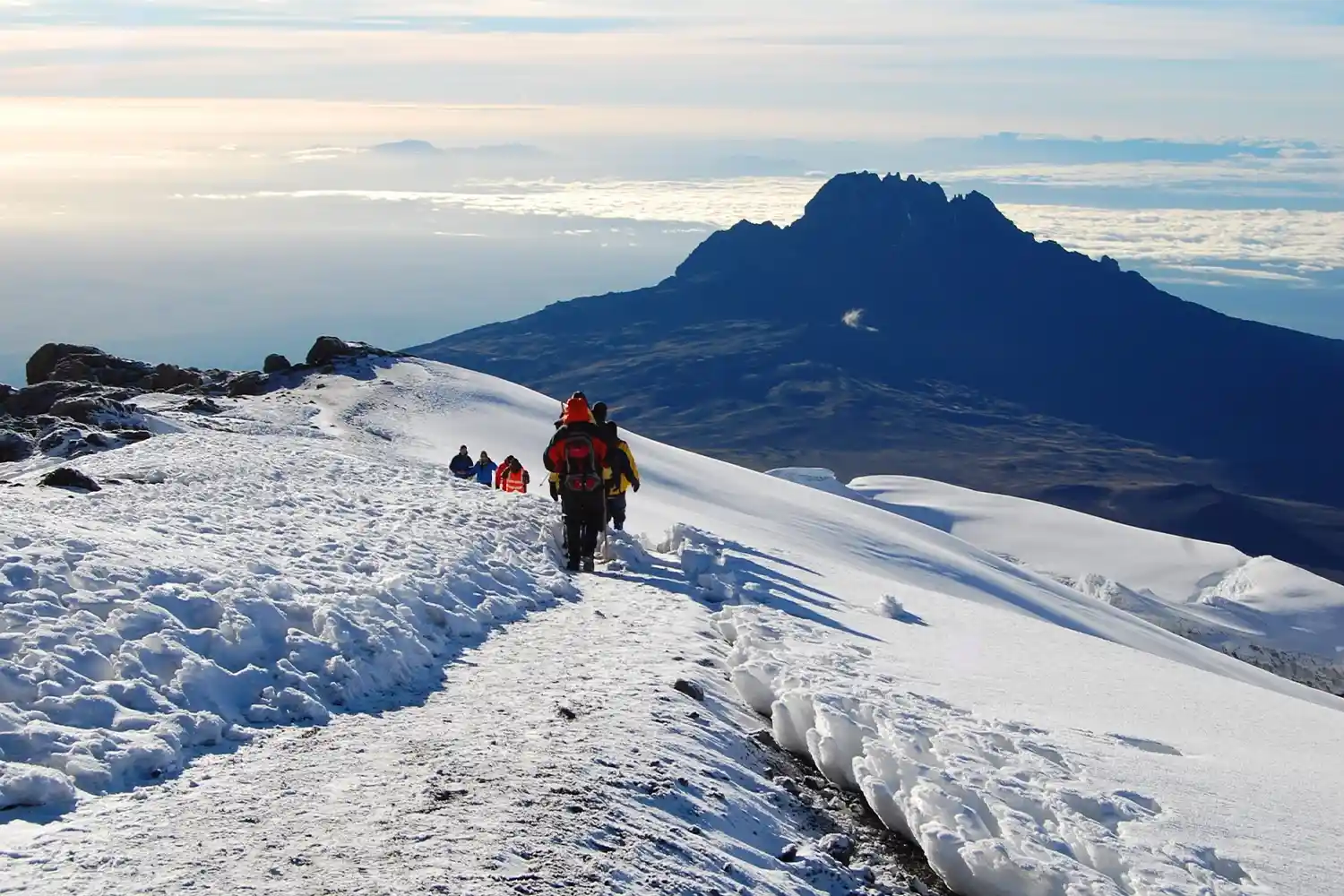 Ruta Lemosho de 8 dies Escalada al Kilimanjaro