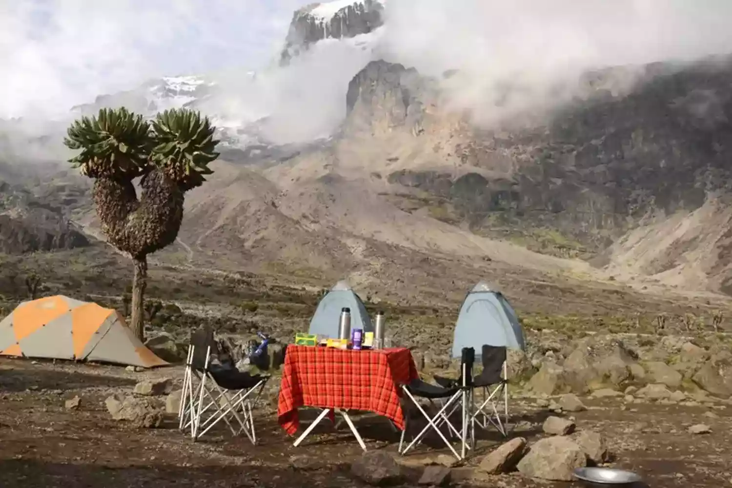 Ruta Lemosho de 8 dies al Kilimanjaro escalada de luxe