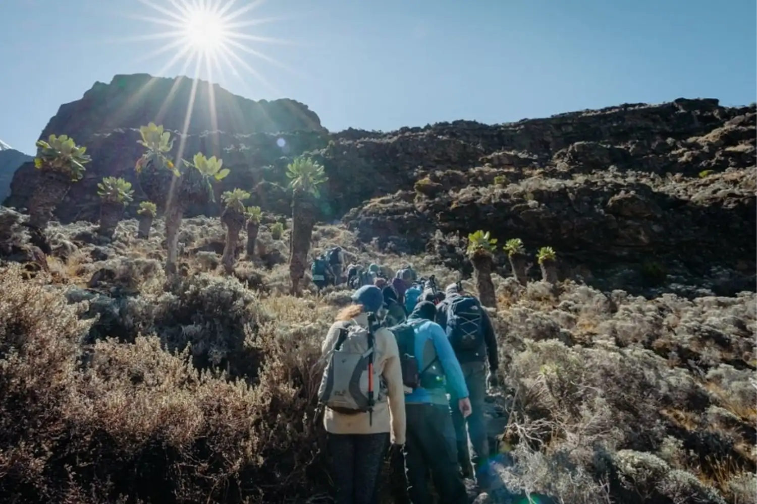 9 dies d'escalada al Kilimanjaro