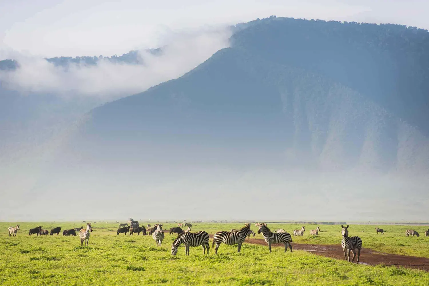 Safari de 9 dies al Serengeti, Tanzània