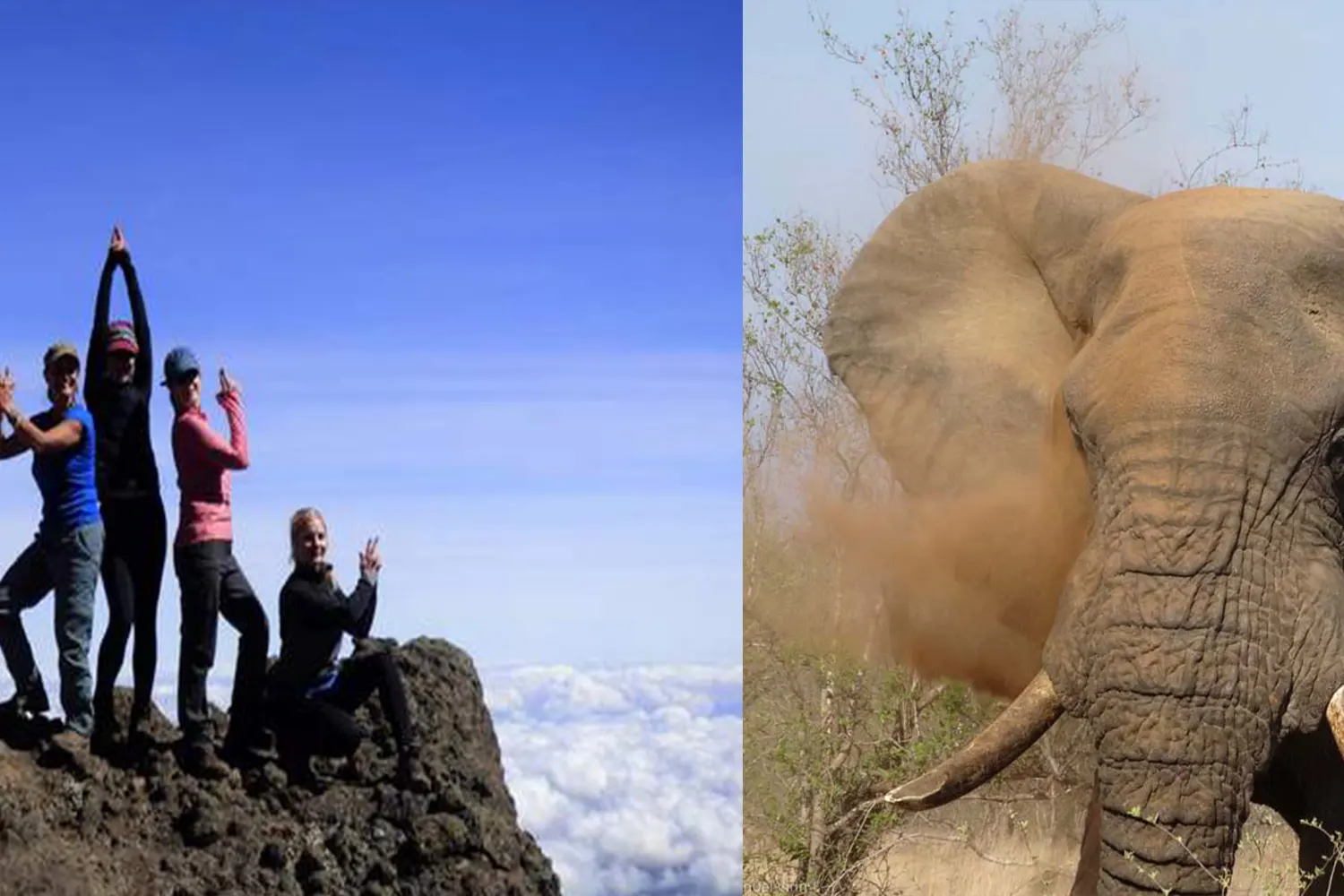 Ruta i safari del Kilimanjaro Marangu (11 dies)