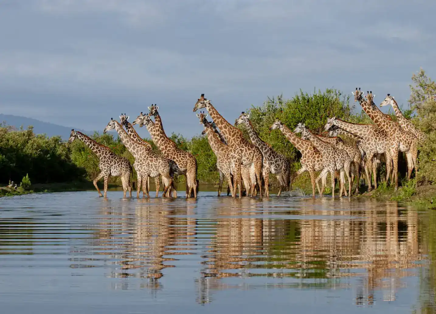 Selous Game Reserve