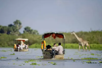 The Wonderful 7-Day Selous Mikumi Udzungwa Safari Tour