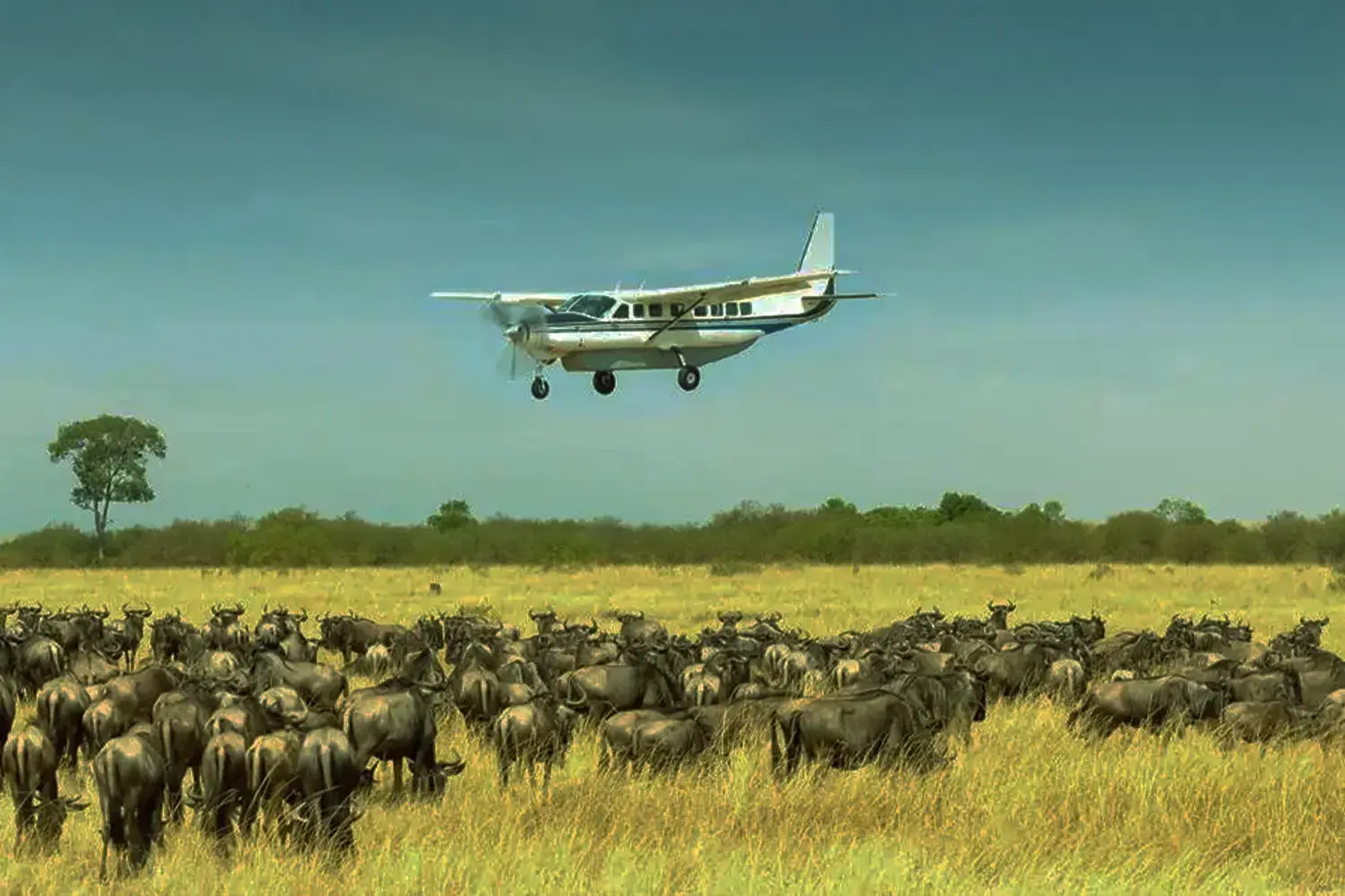 Airstrip in Serengeti